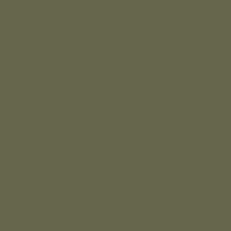 verde safari
